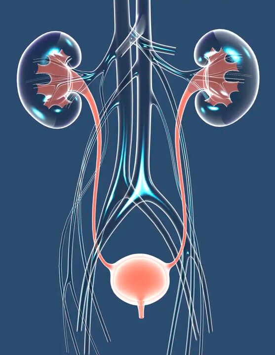 Илюстрация за здравословно мъжко здраве
